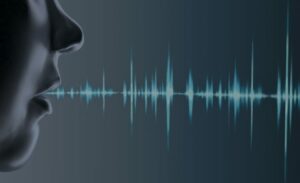 Voice