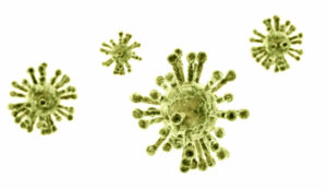 Virus